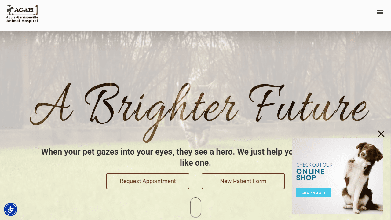 Screenshot of Is agahvet.com Scam or Legitimate?