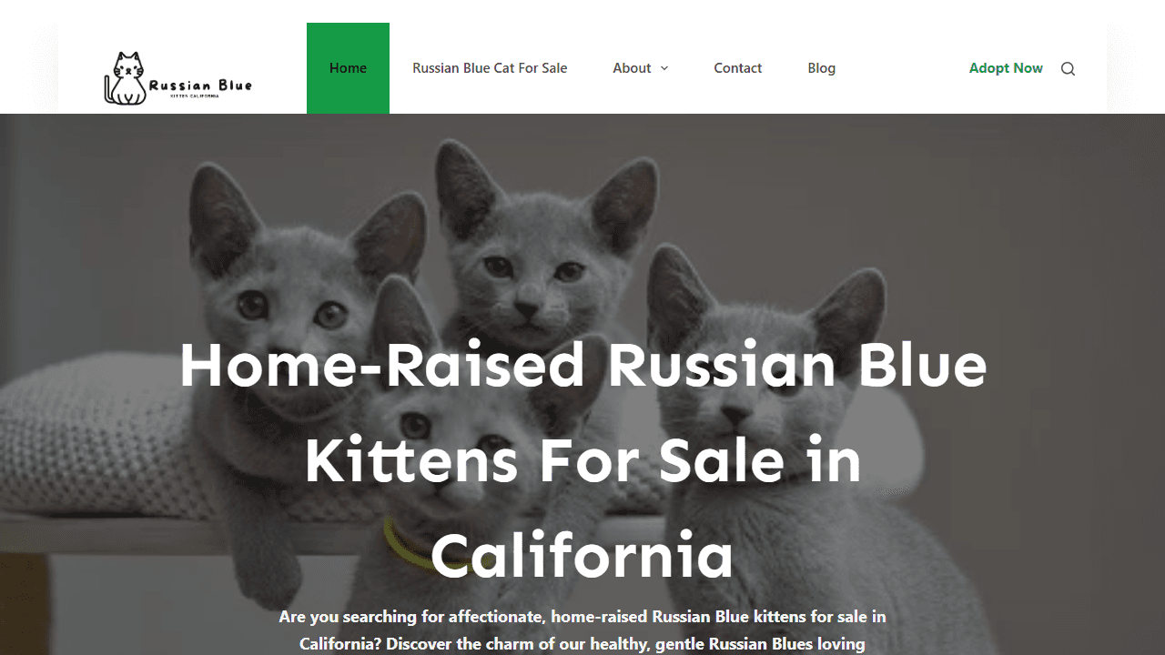 Screenshot of Is russianbluekittensforsale.com scam or legitimate?