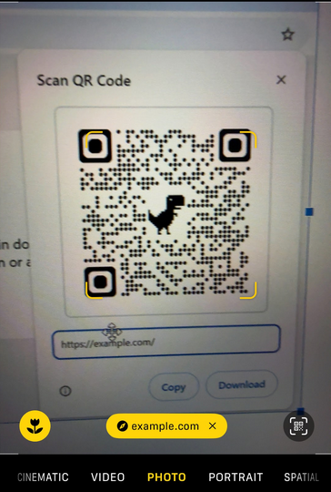 Generated QR code for Scam Raven